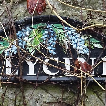Apartamento Le Glycine A Manoir Sainte Cecile Juvigny-Val-d'Andaine Exterior foto
